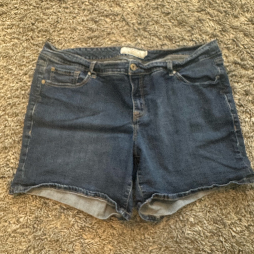 Torrid Shorts